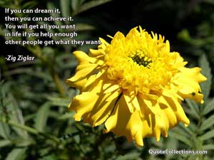 zig_ziglar_quotes Quotes 7
